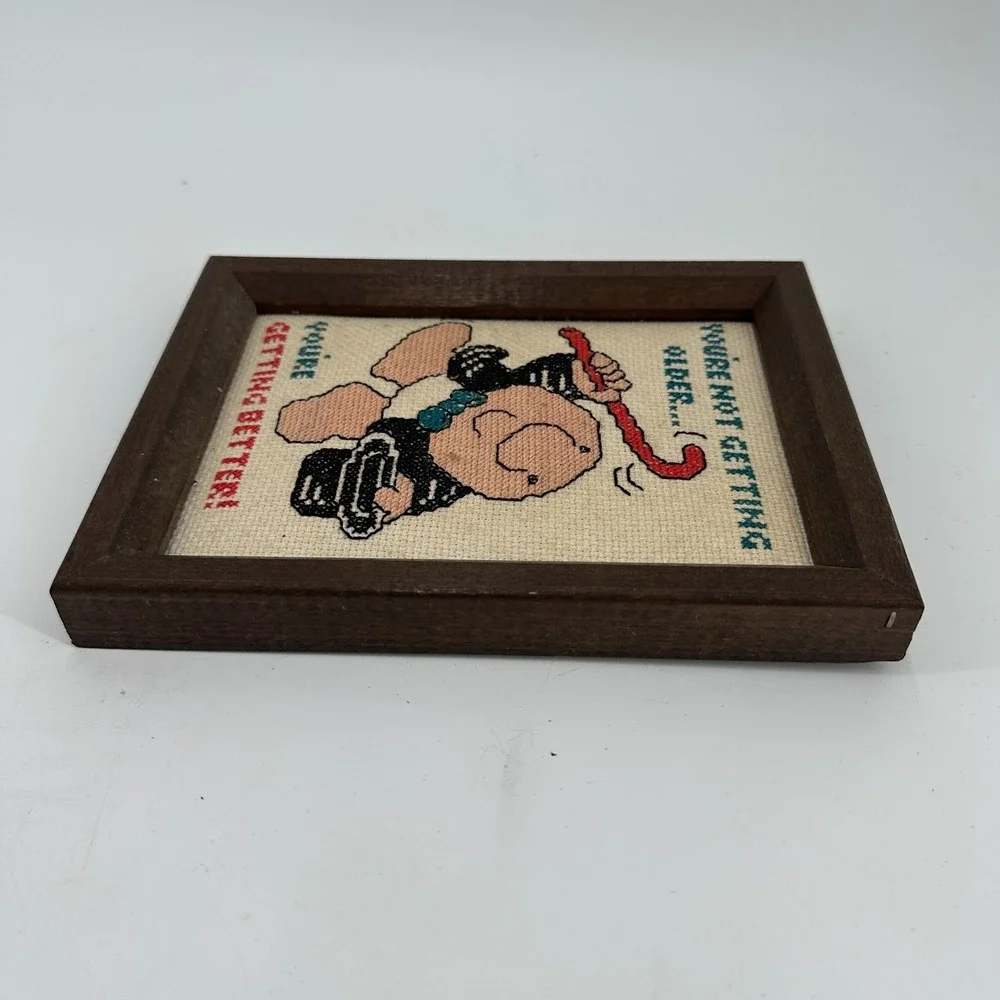 Vintage‎ Cross Stitch Ziggy Frame Wall Art Humor Birthday Gift Zigurat